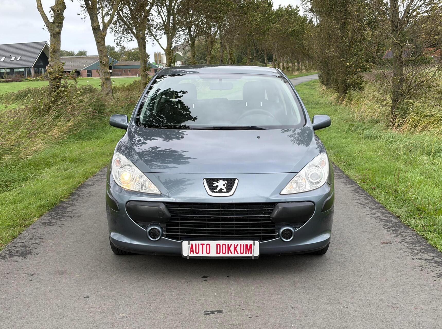 Foto van Peugeot 307