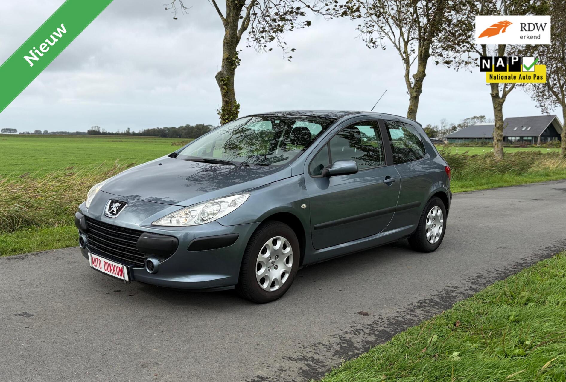 Peugeot 307 1.4-16V XR❗ 2006 - voorkant