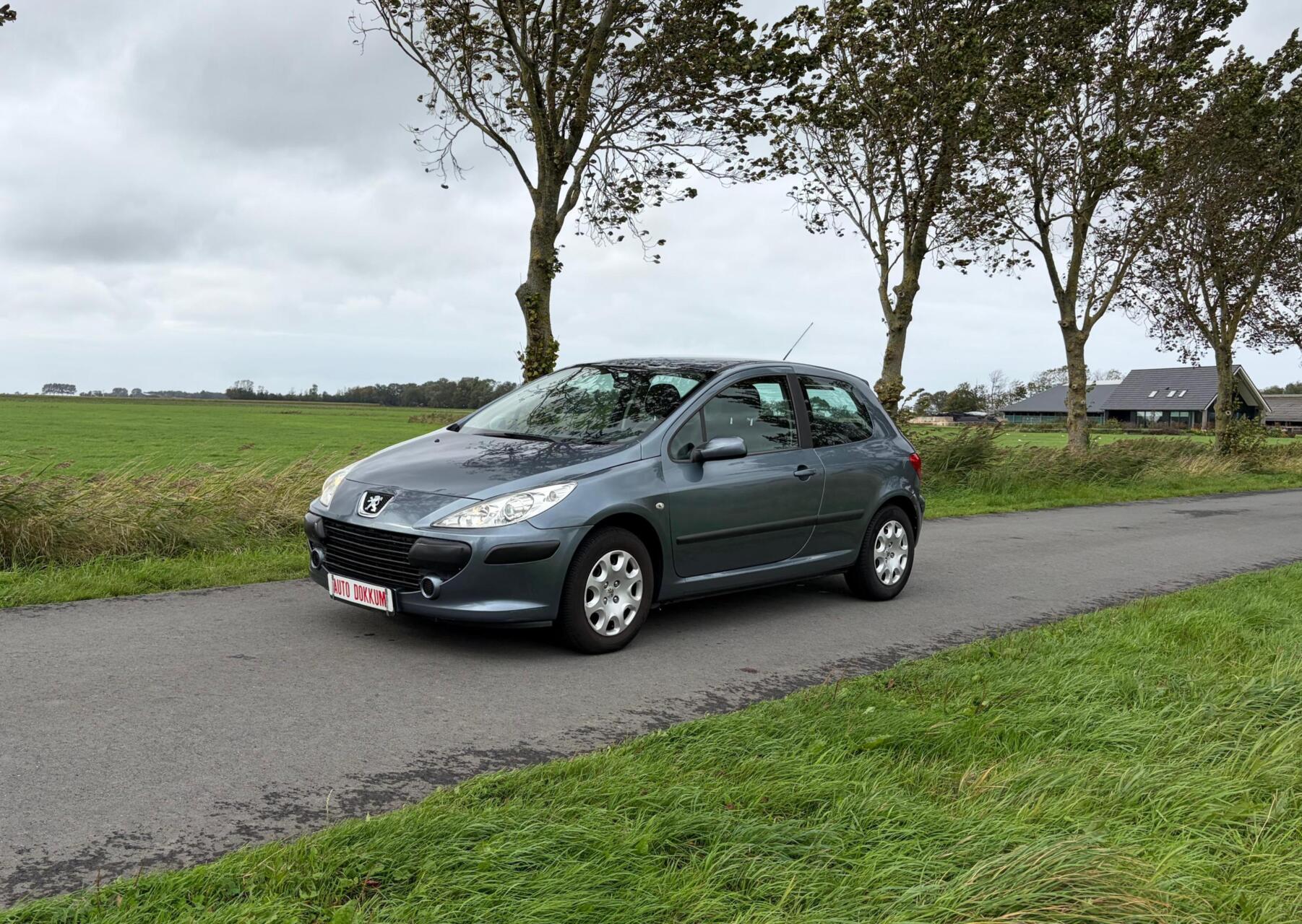 Foto van Peugeot 307