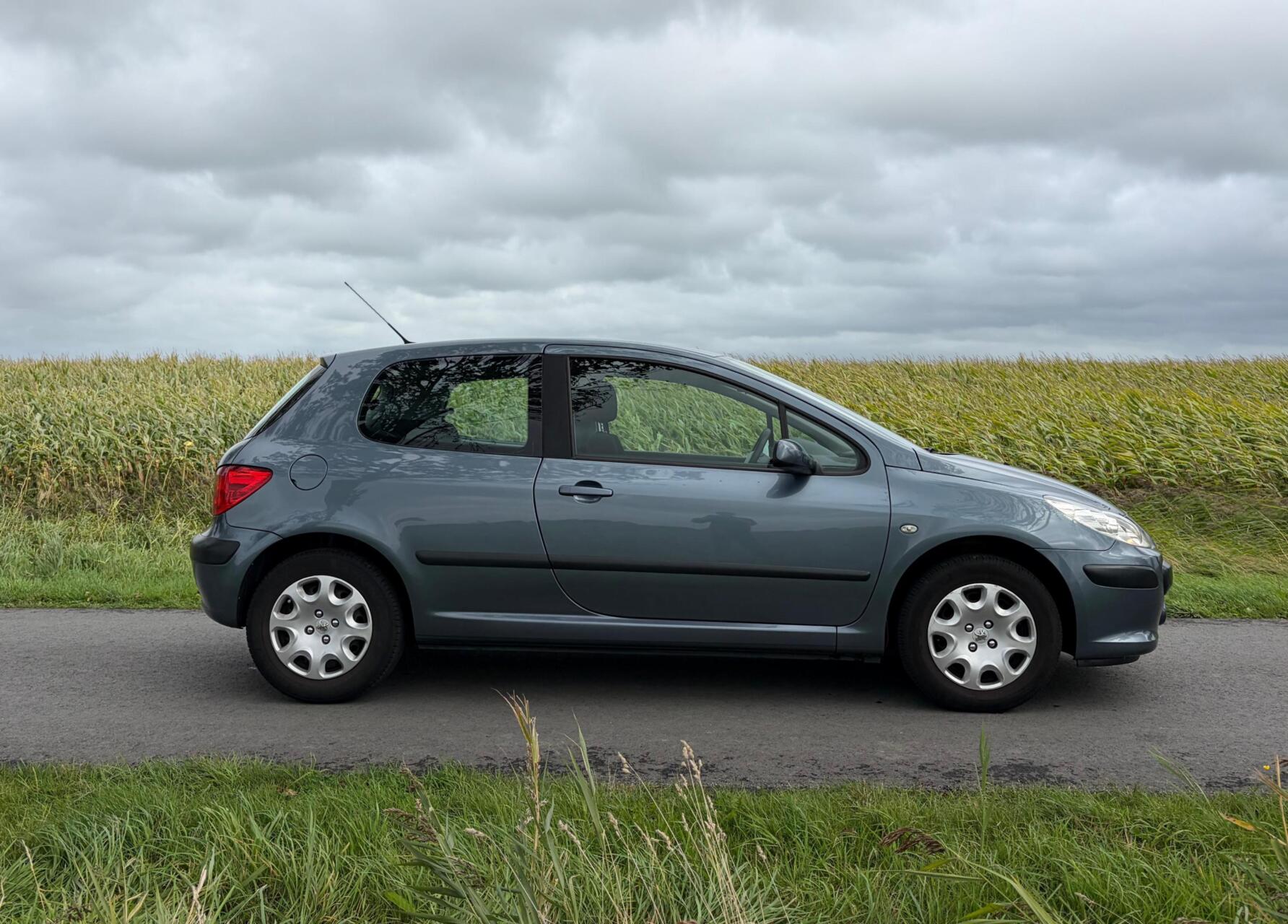 Foto van Peugeot 307