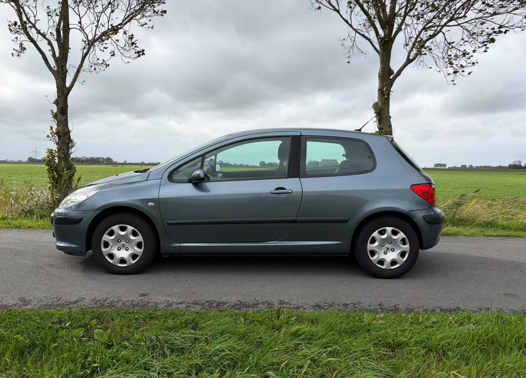 Foto van Peugeot 307