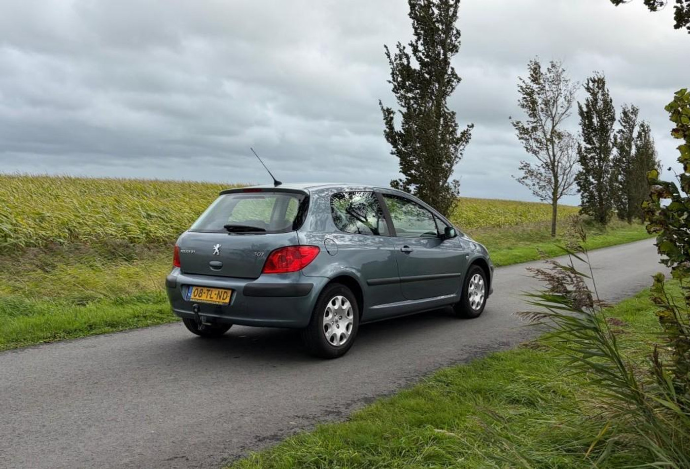 Foto van Peugeot 307