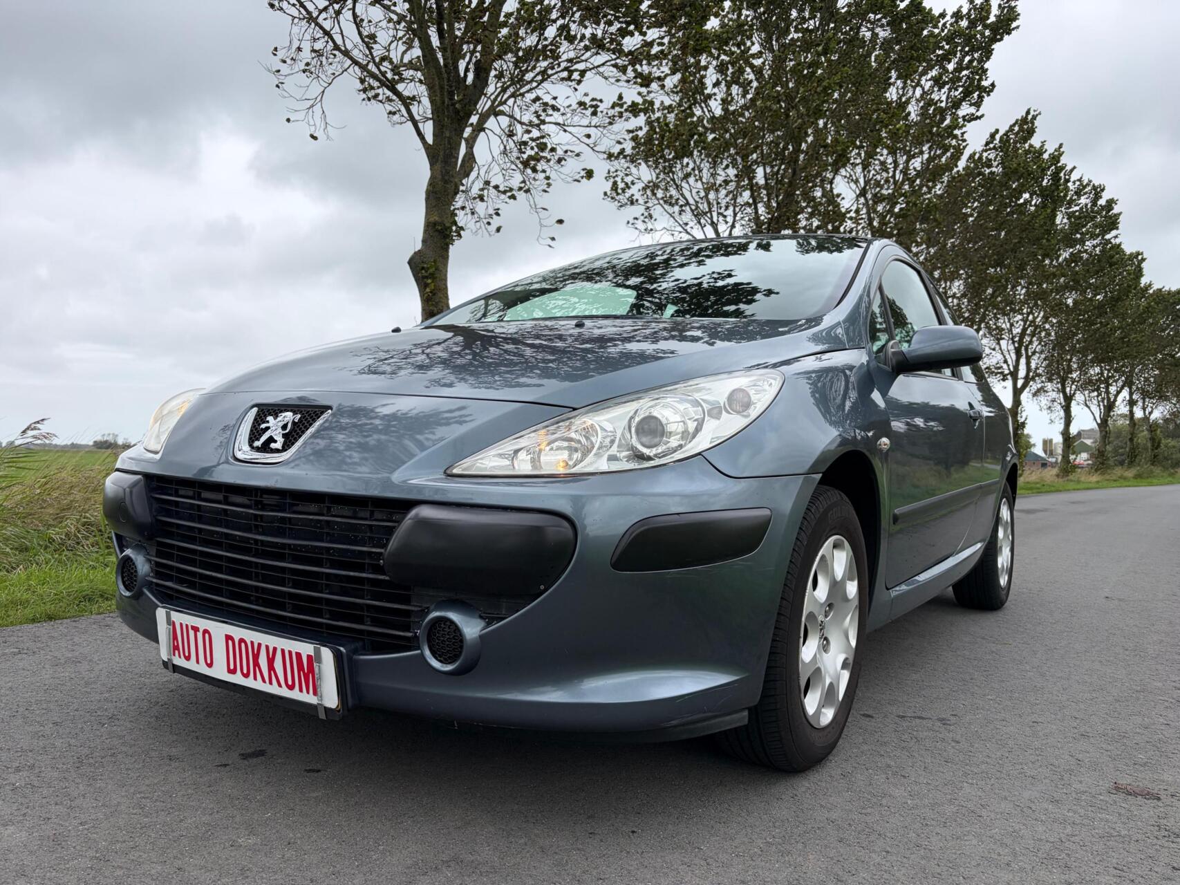 Foto van Peugeot 307