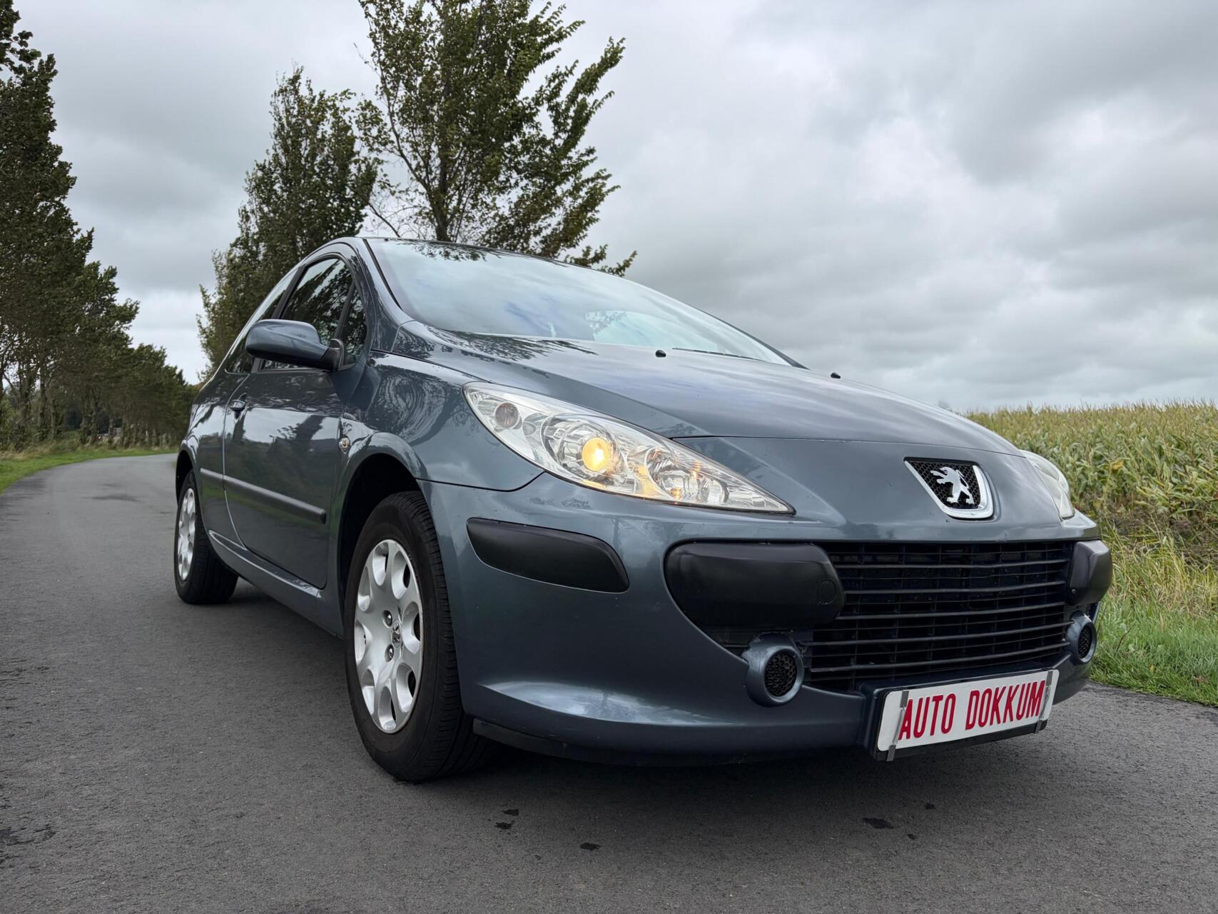 Foto van Peugeot 307