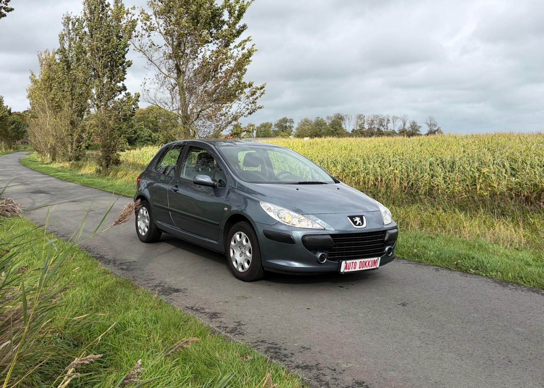 Foto van Peugeot 307