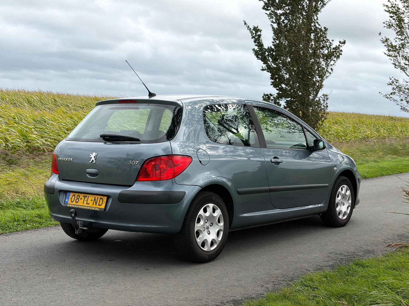 Foto van Peugeot 307