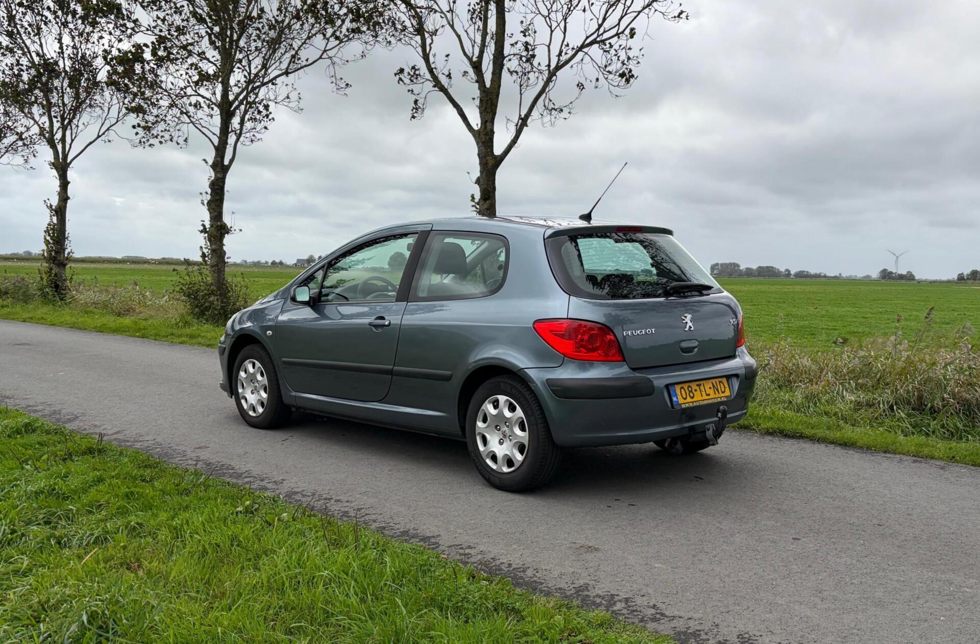 Foto van Peugeot 307
