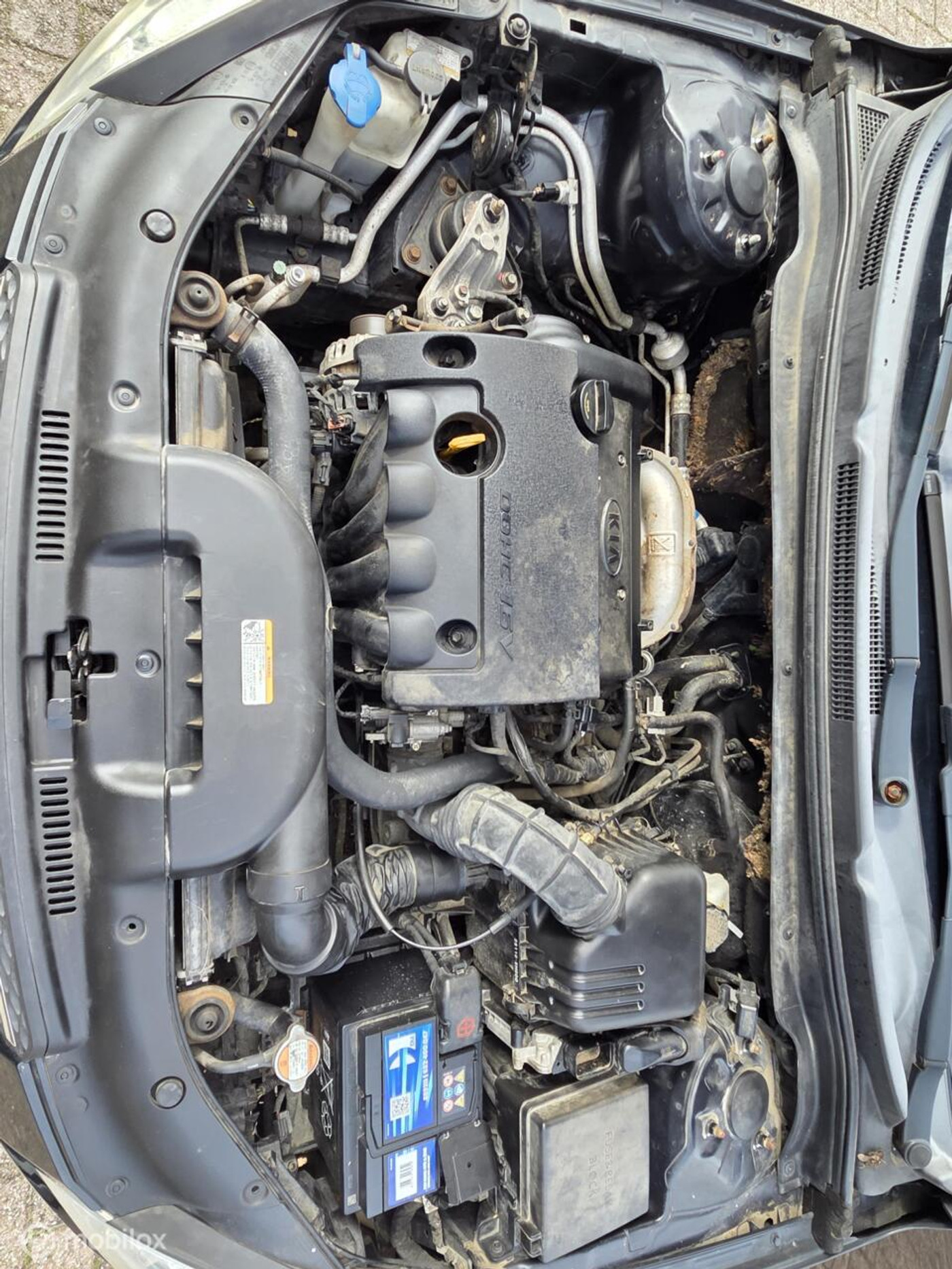 Foto van Kia Cee D