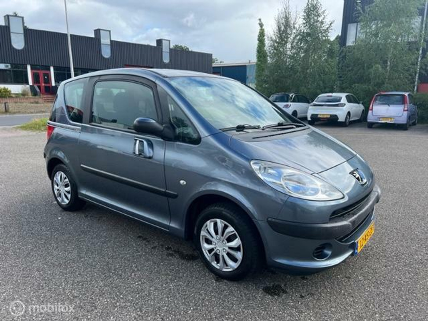 Foto van Peugeot 1007
