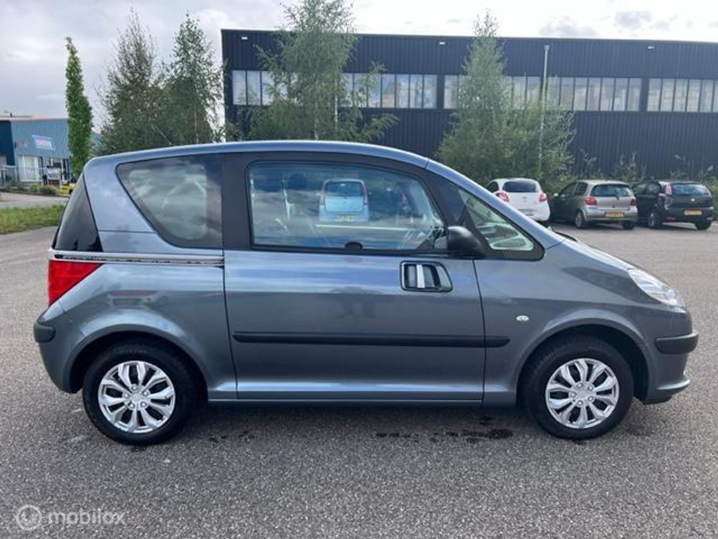 Foto van Peugeot 1007