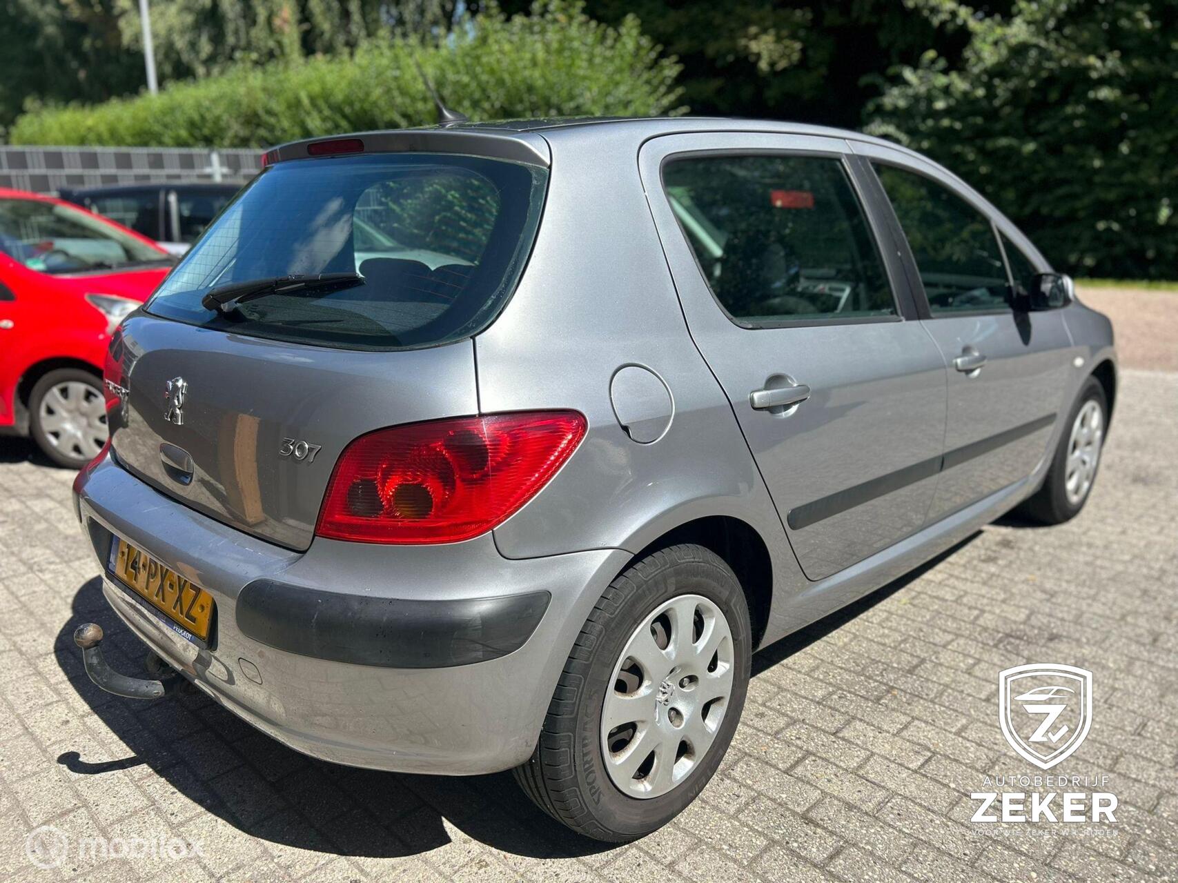 Foto van Peugeot 307