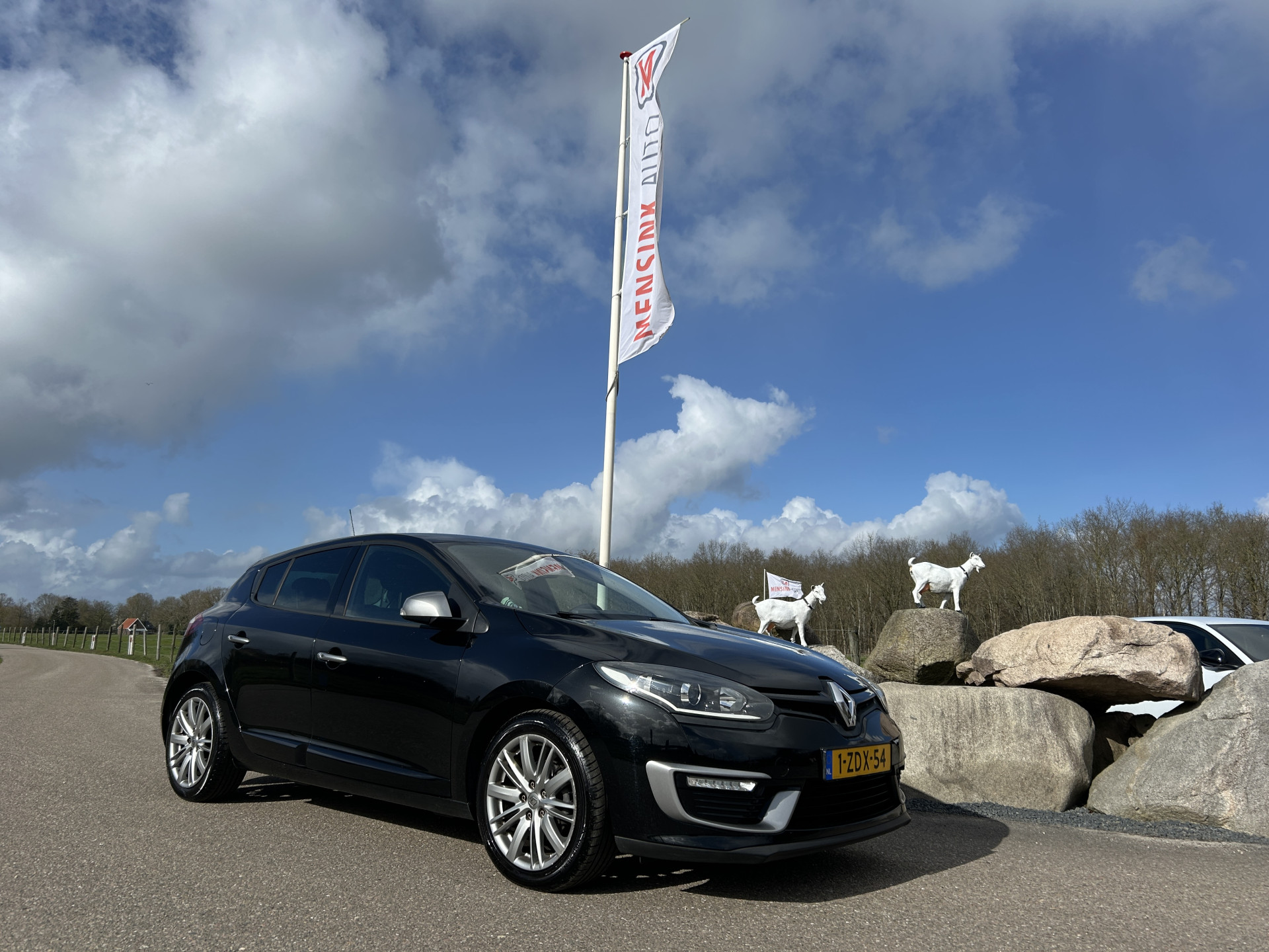 Foto van Renault Mégane