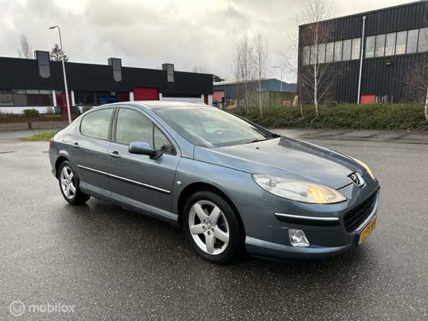 Foto van Peugeot 407