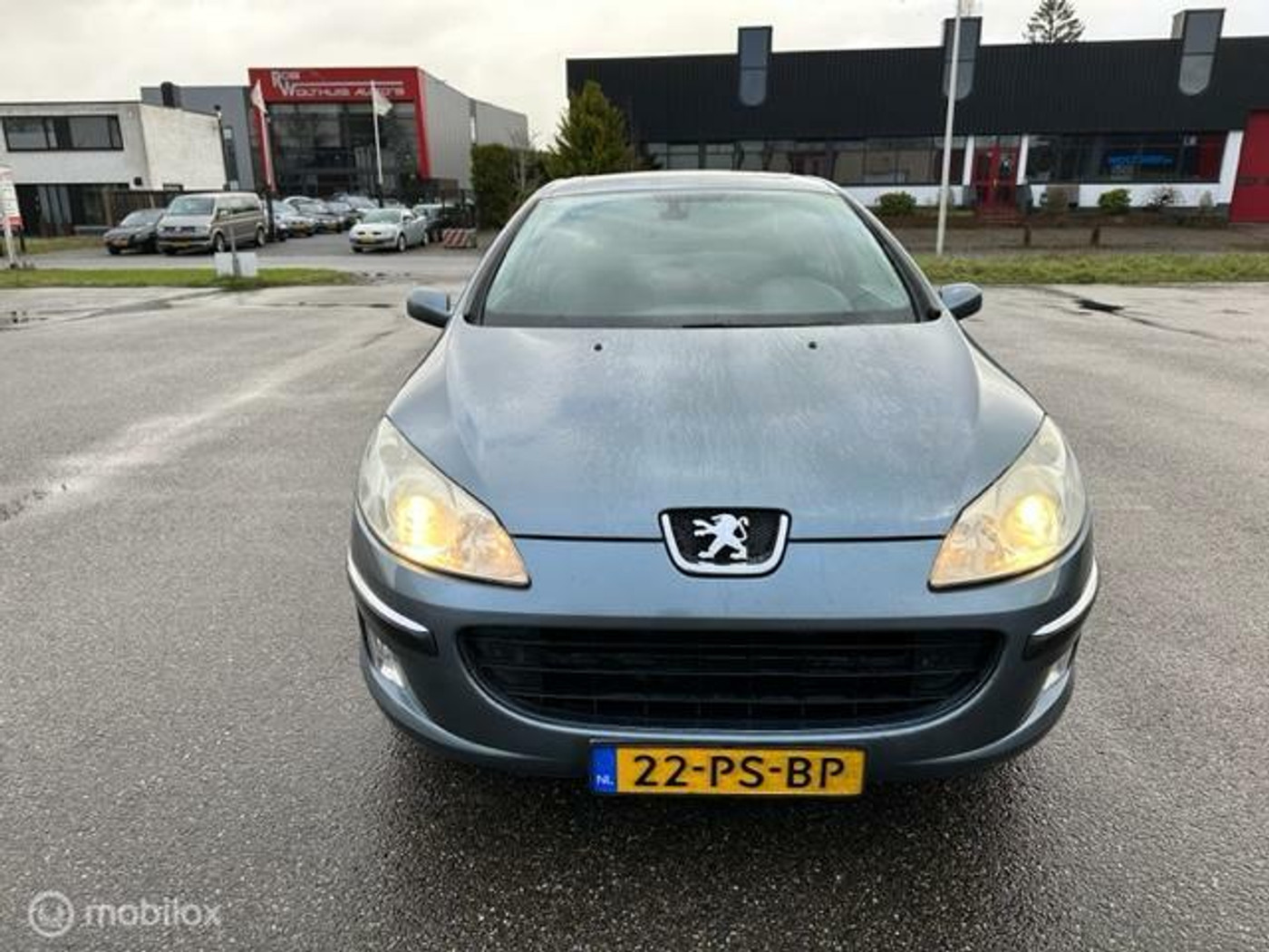 Foto van Peugeot 407