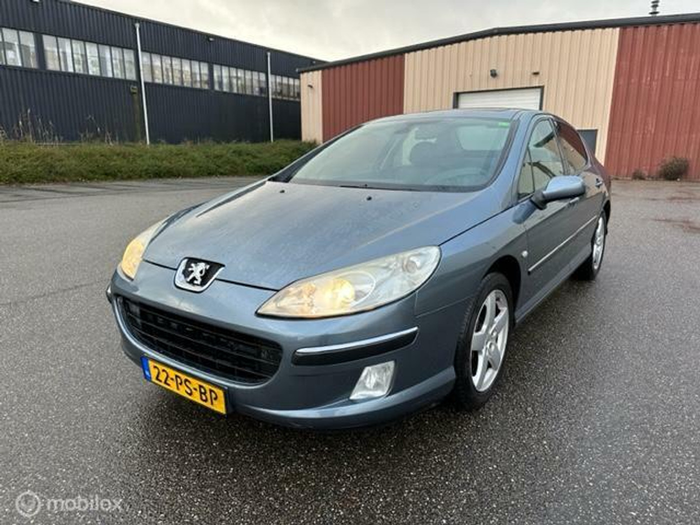 Foto van Peugeot 407