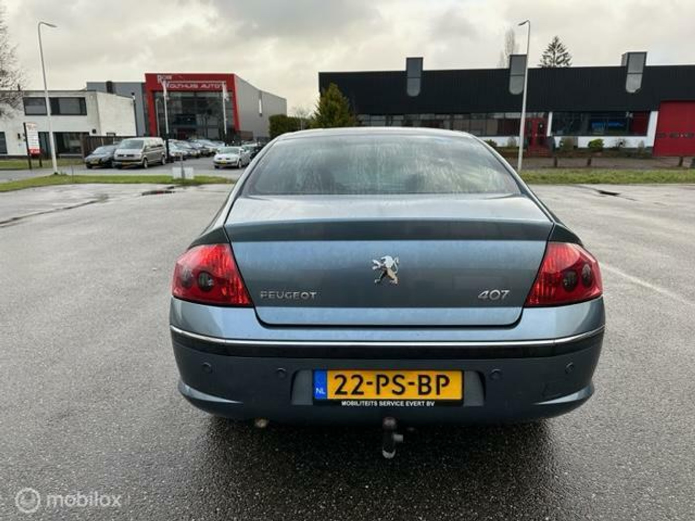 Foto van Peugeot 407