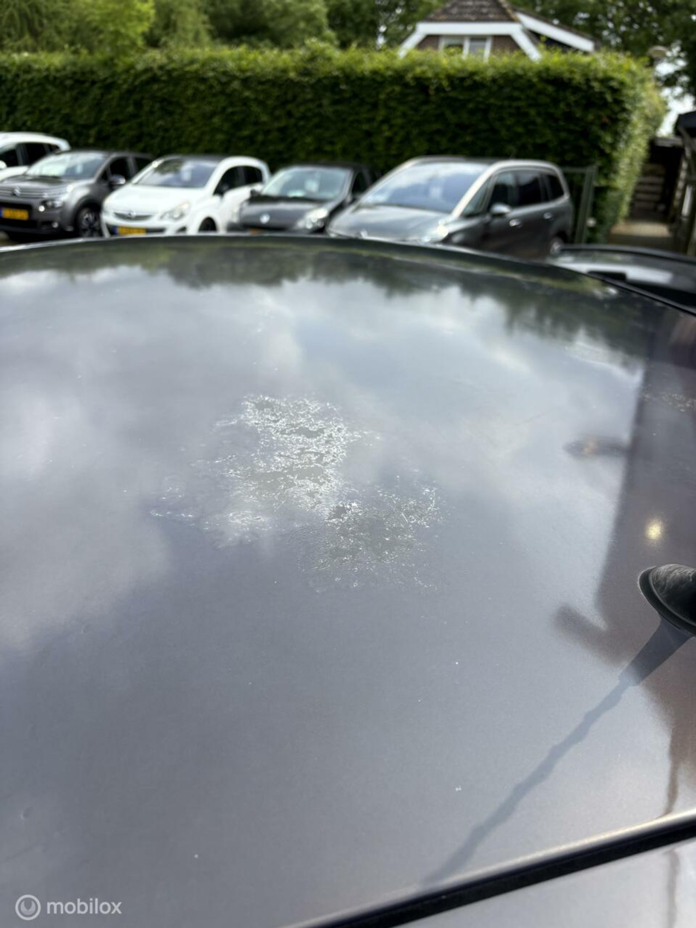 Foto van Renault Modus