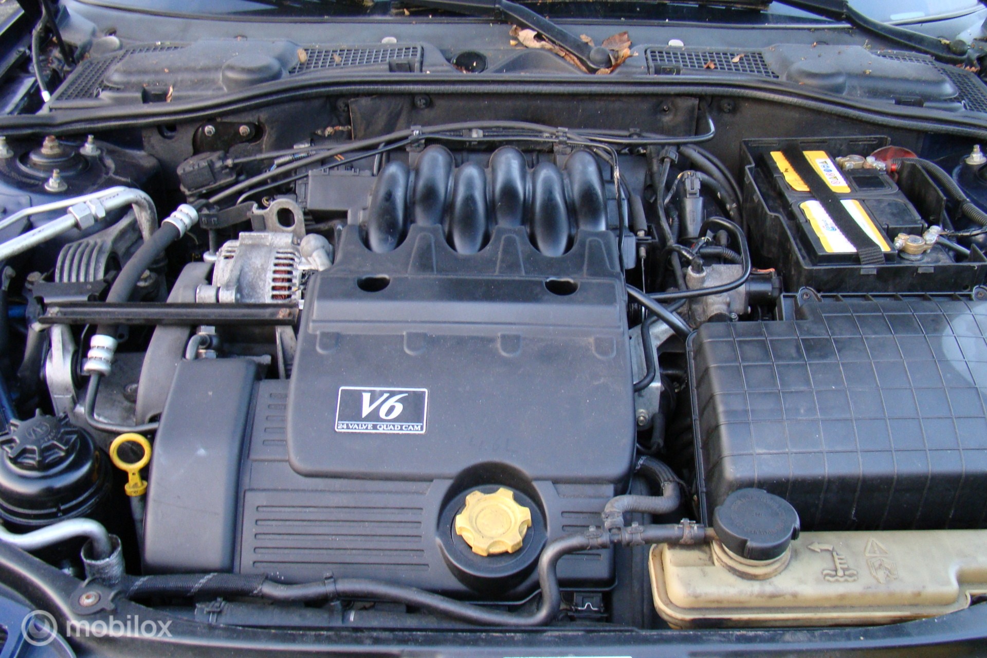 Foto van Rover 75