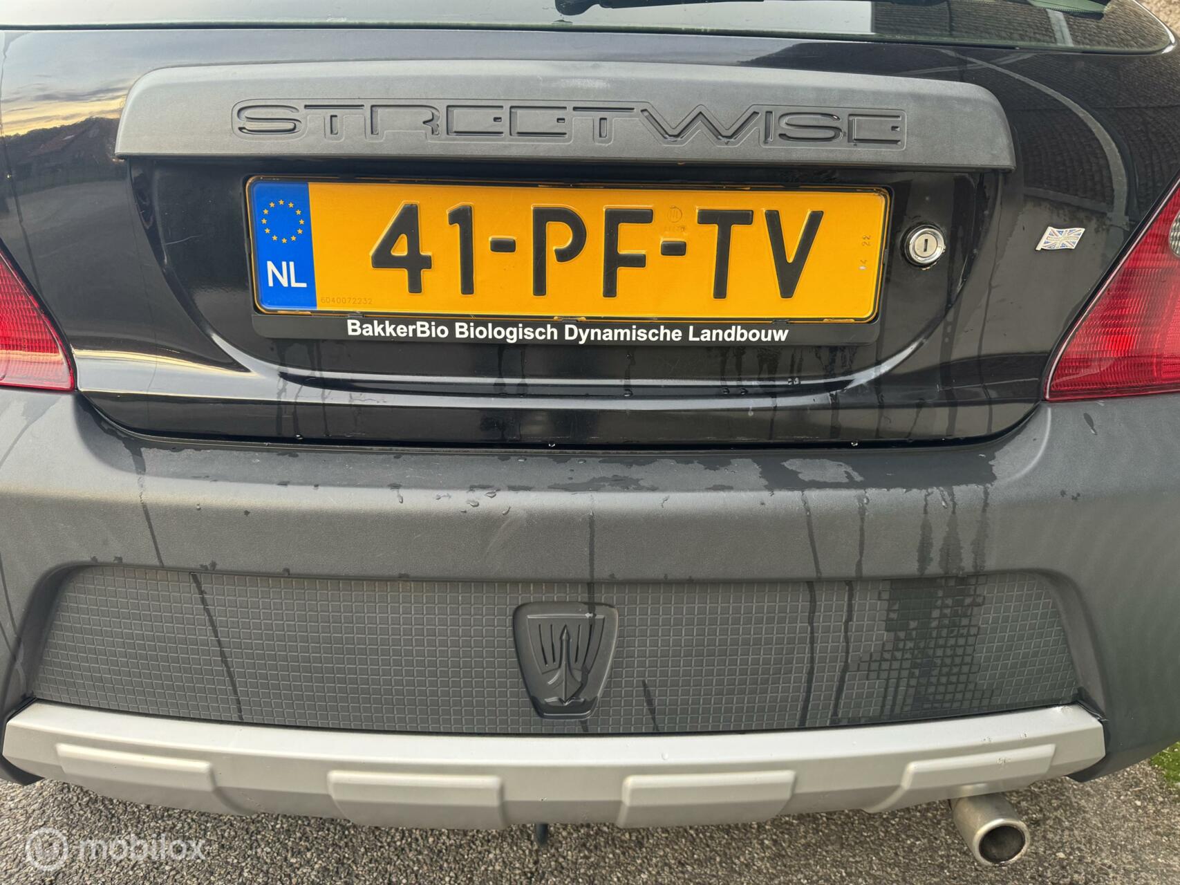 Foto van Rover Streetwise