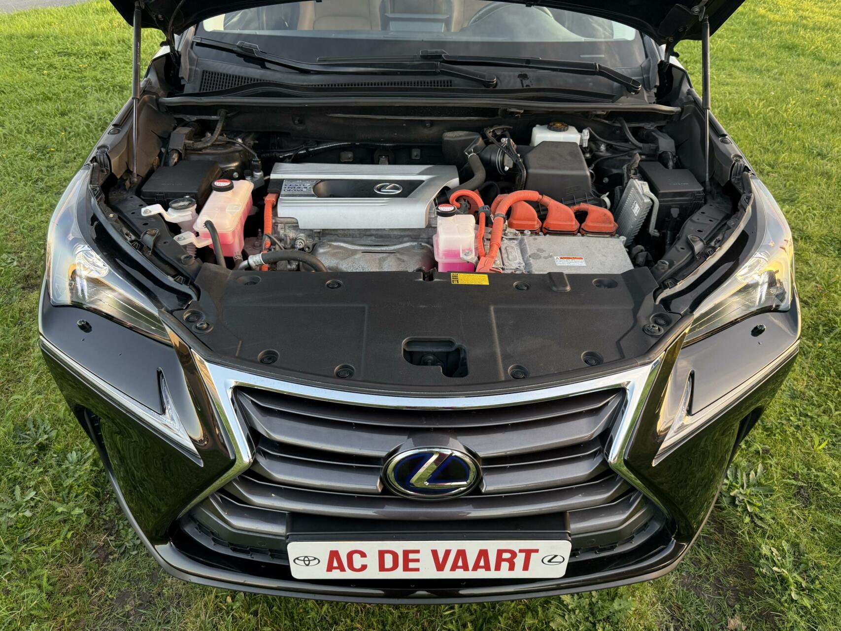 Foto van Lexus NX