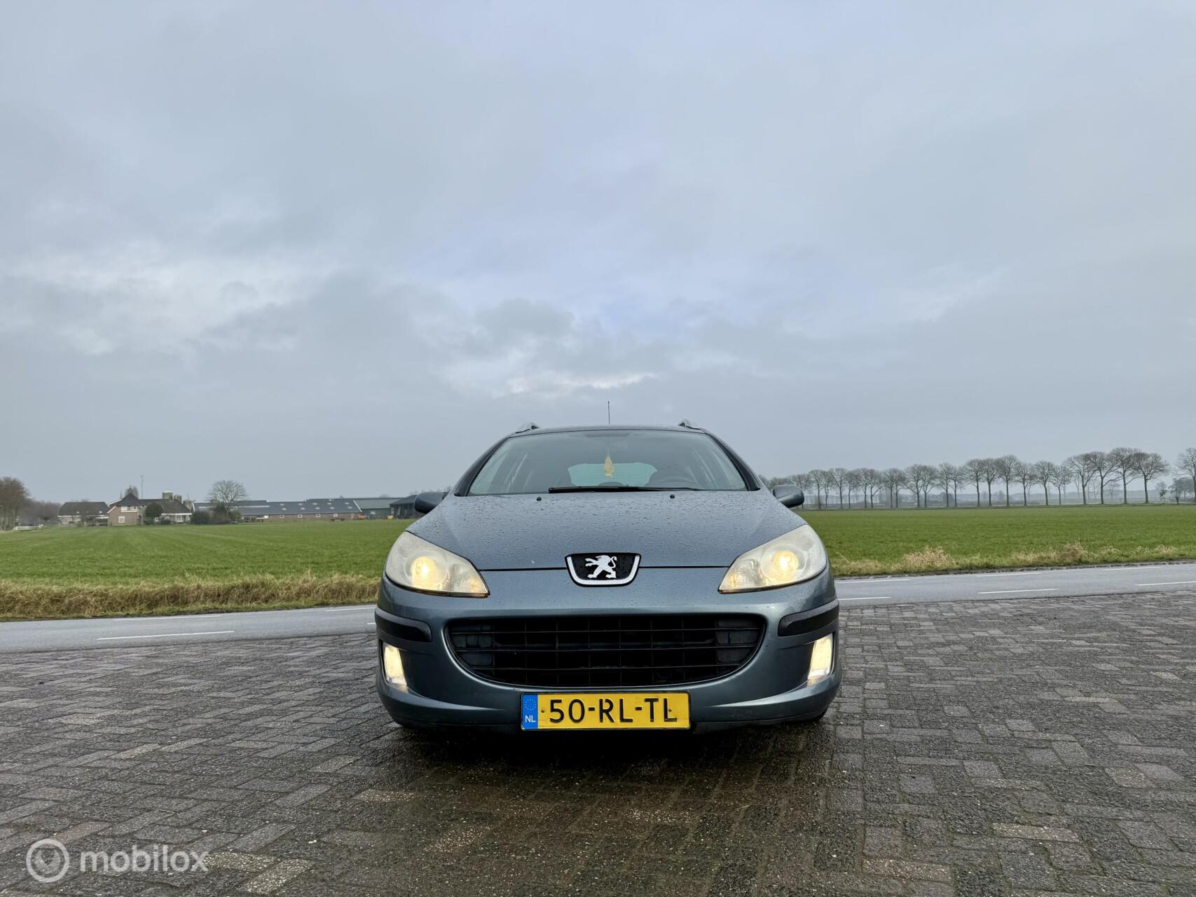 Foto van Peugeot 407