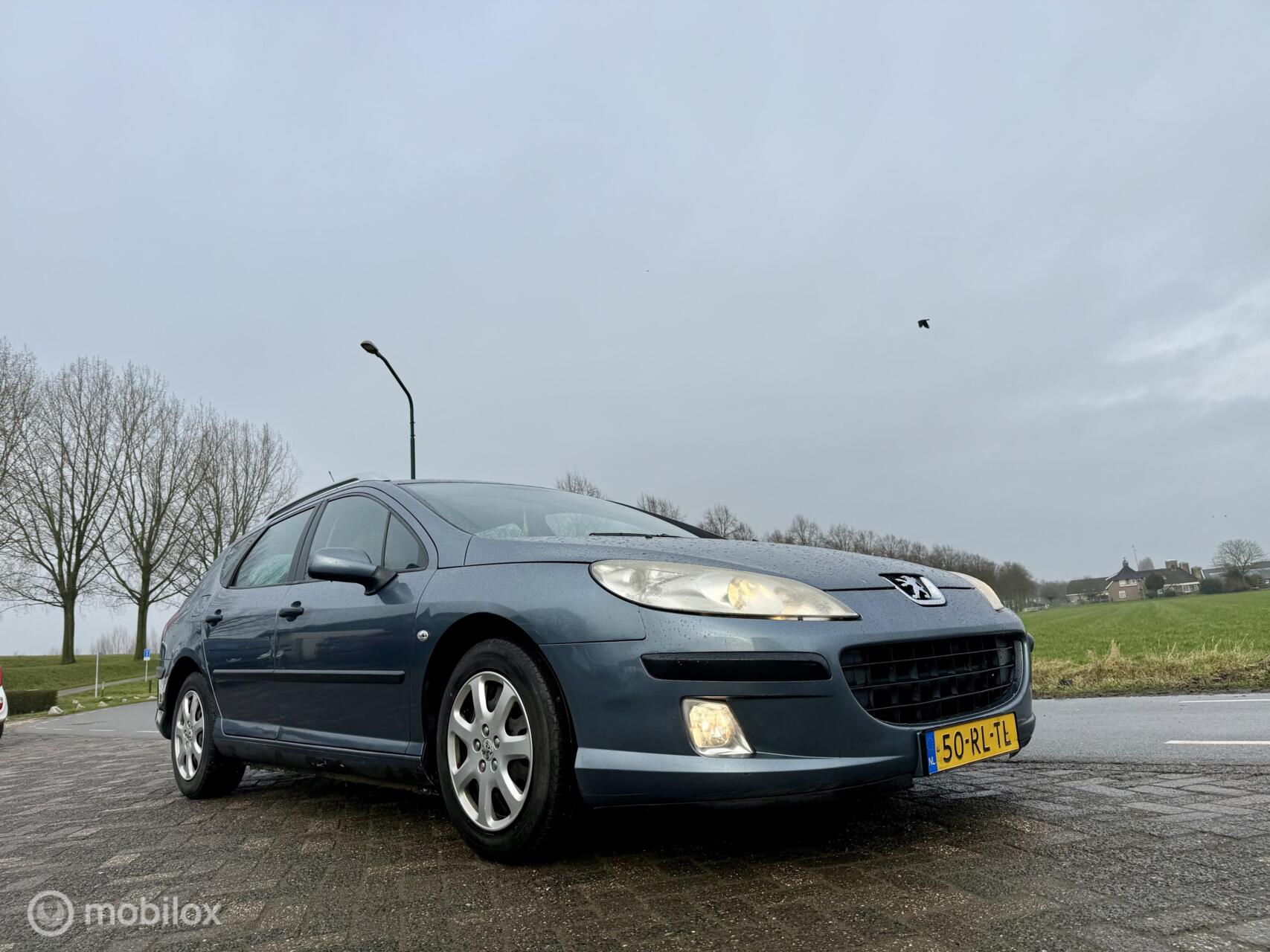 Foto van Peugeot 407