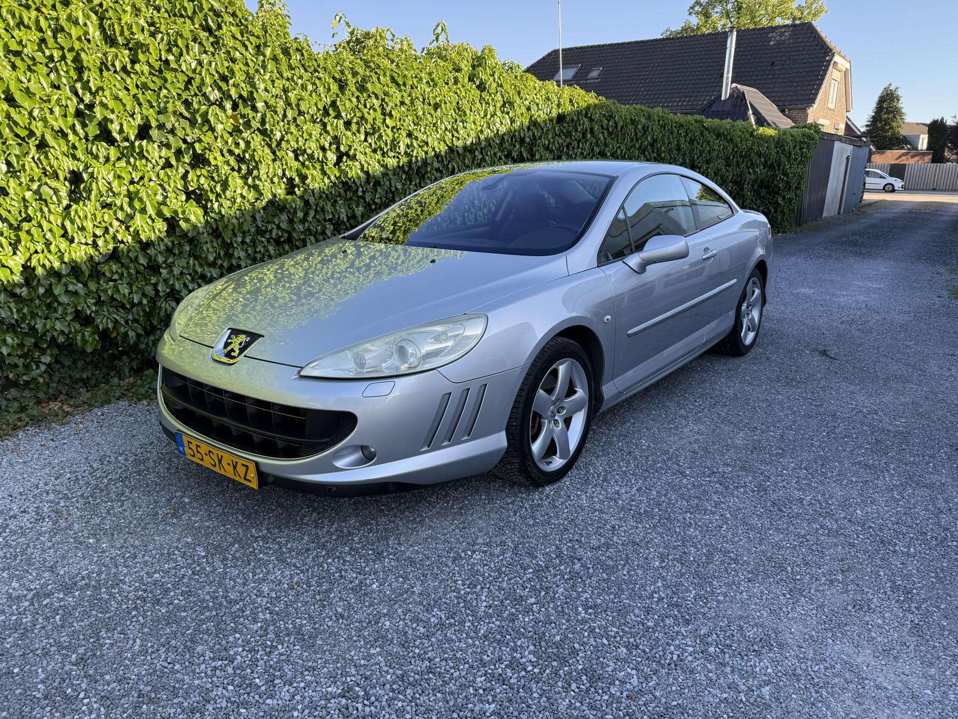 Foto van Peugeot 407