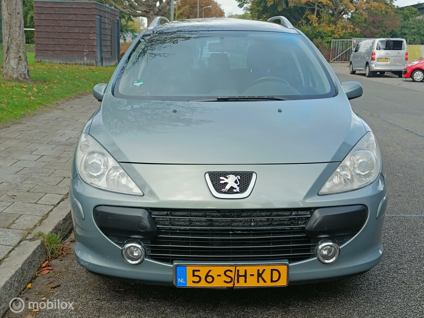Foto van Peugeot 307 SW