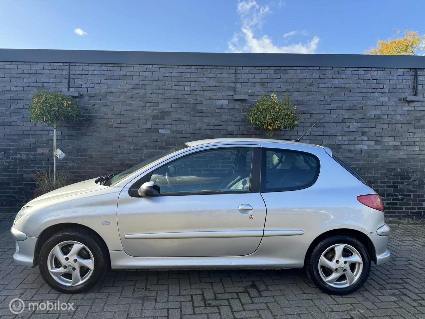 Foto van Peugeot 206