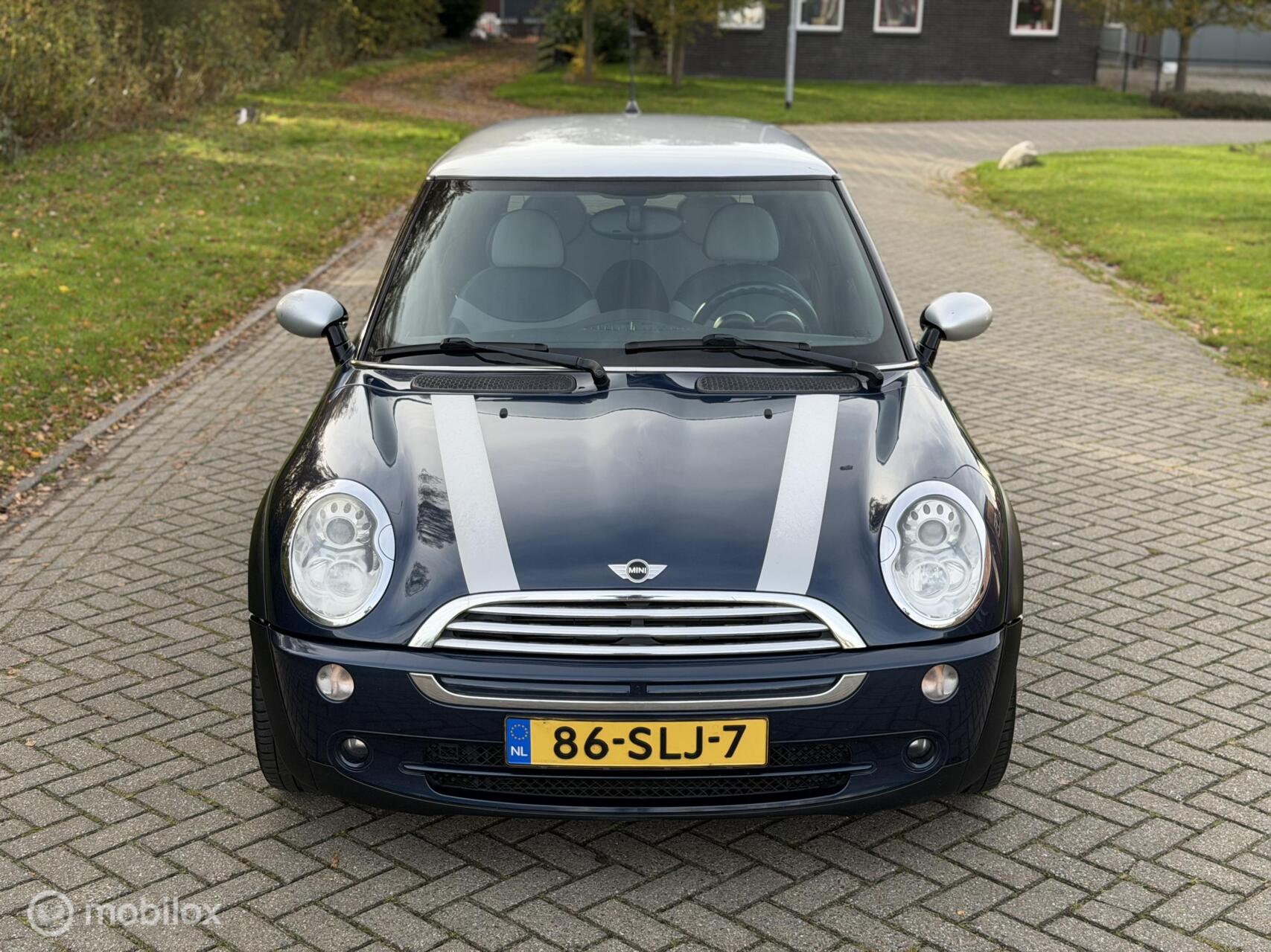 Foto van Mini Mini Cooper