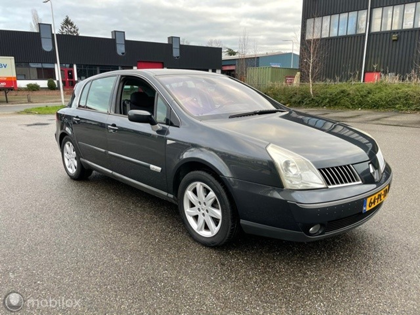 Foto van Renault Vel Satis