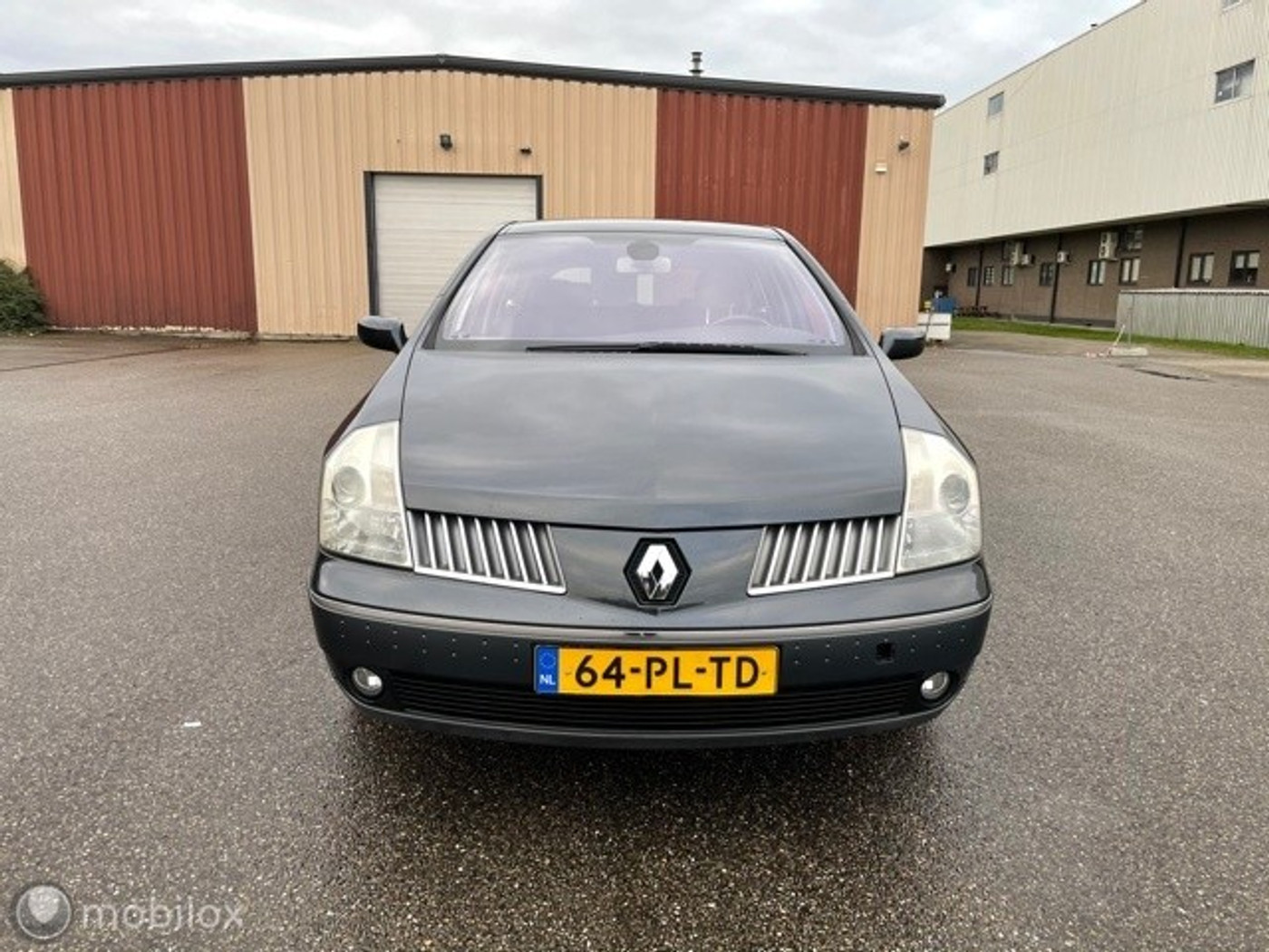 Foto van Renault Vel Satis