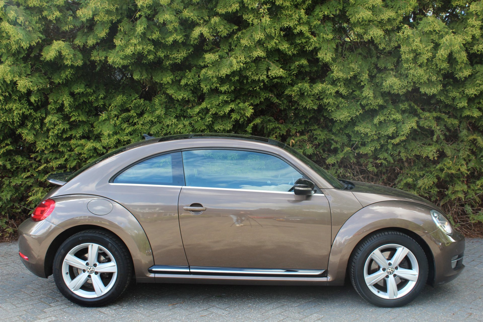 Foto van Volkswagen Beetle