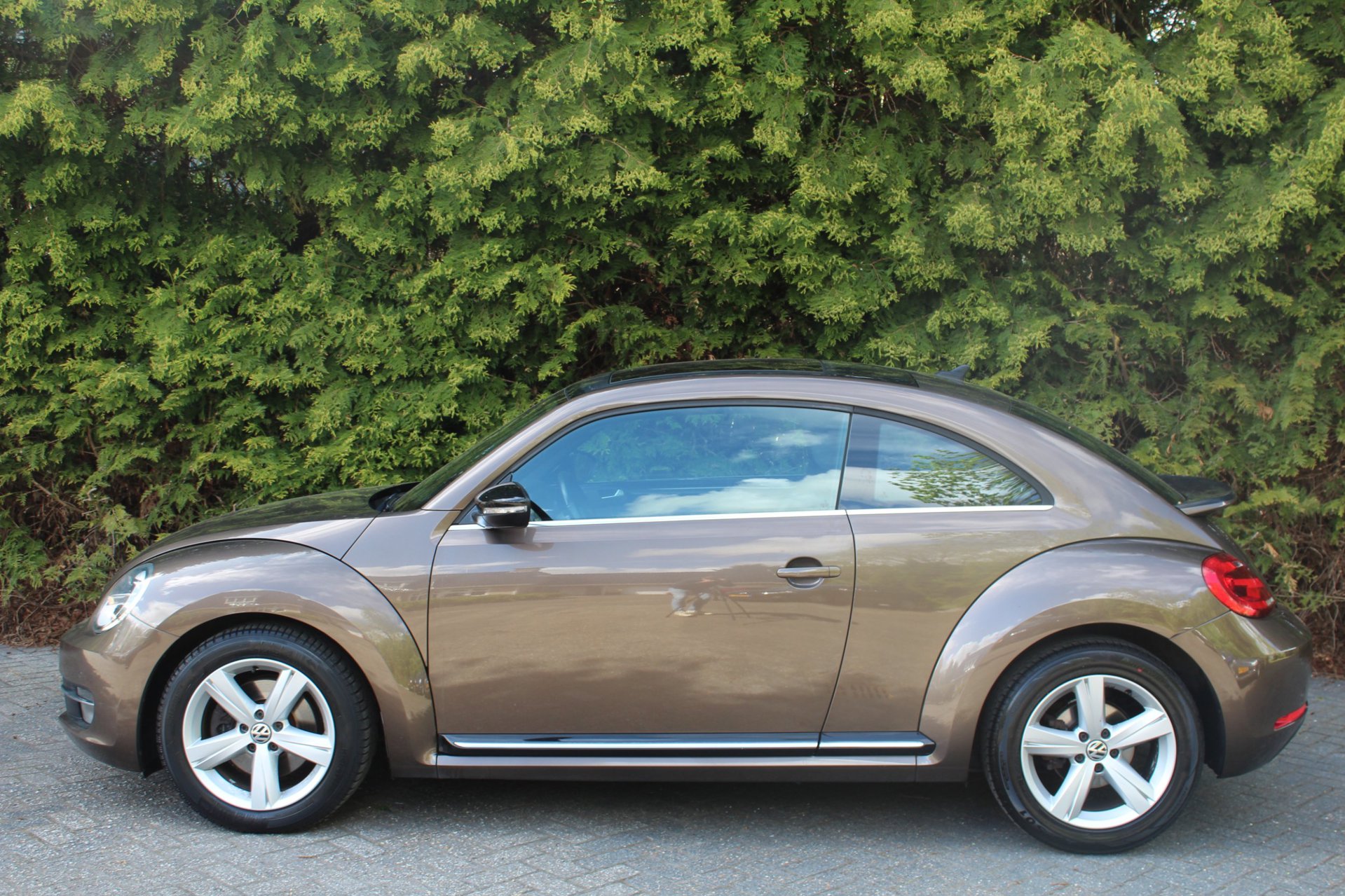 Foto van Volkswagen Beetle