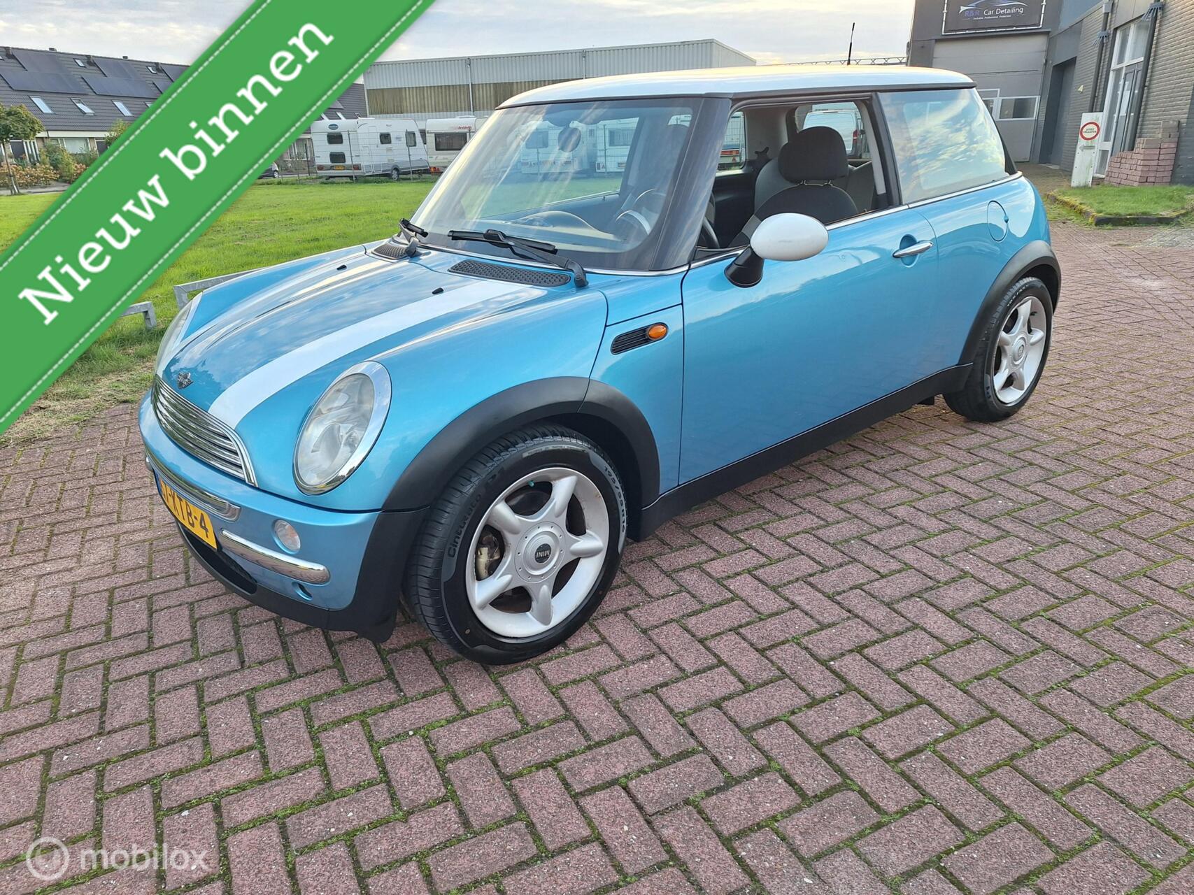 Foto van Mini Mini One