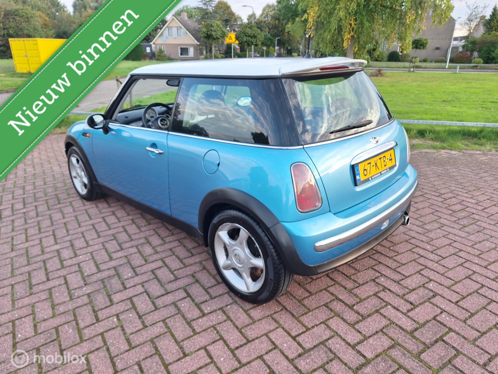 Foto van Mini Mini One