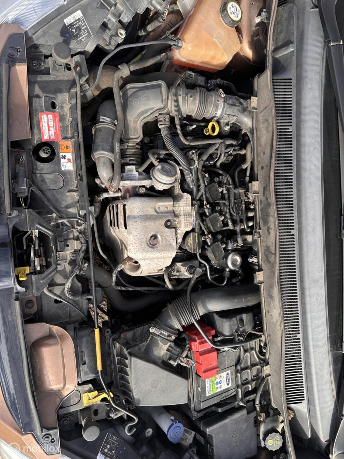 Foto van Ford B-max
