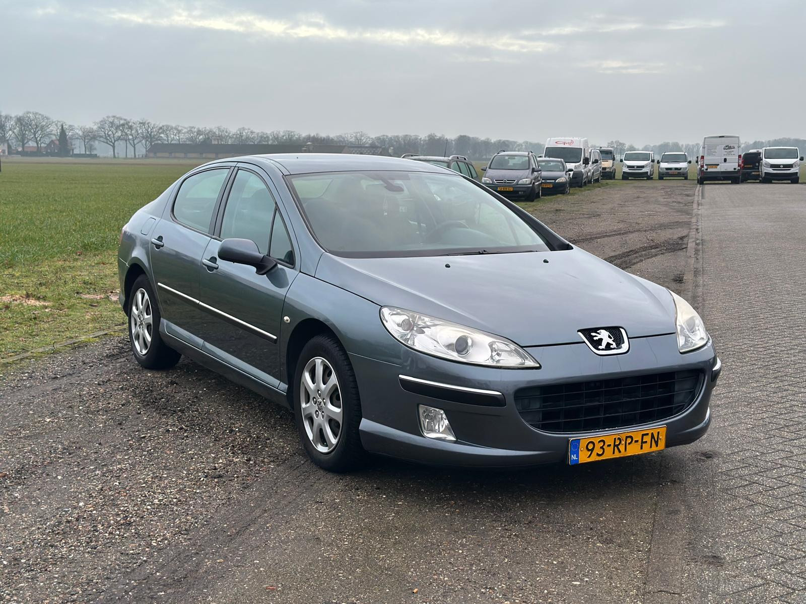 Foto van Peugeot 407