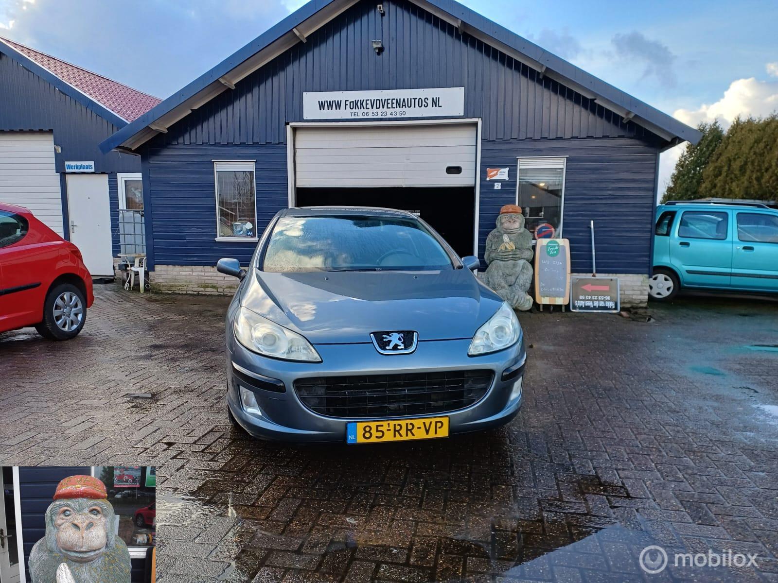 Foto van Peugeot 407