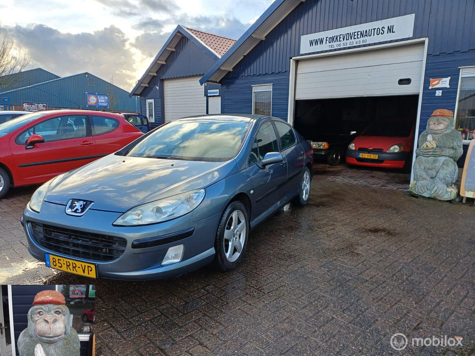 Foto van Peugeot 407