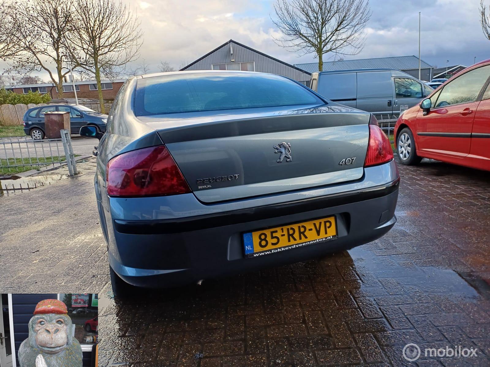 Foto van Peugeot 407