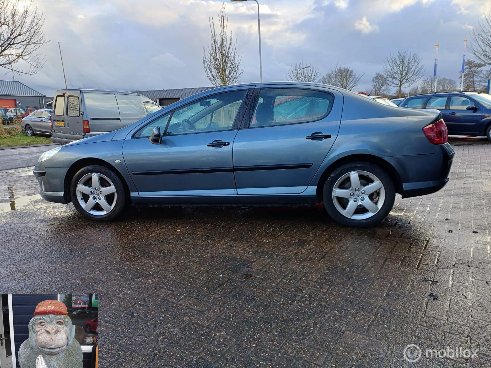 Foto van Peugeot 407