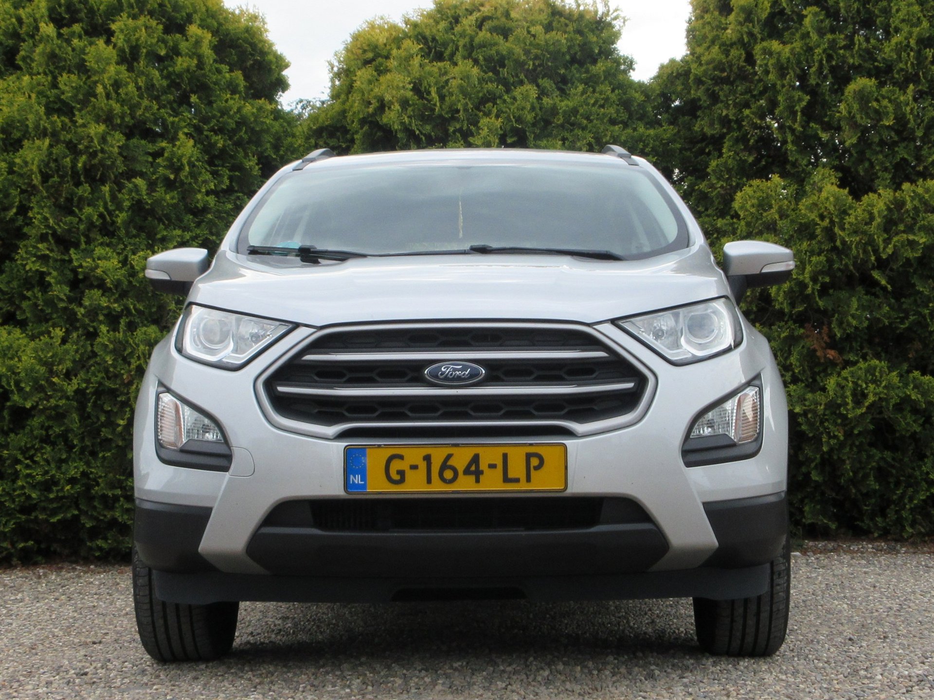 Foto van Ford Ecosport