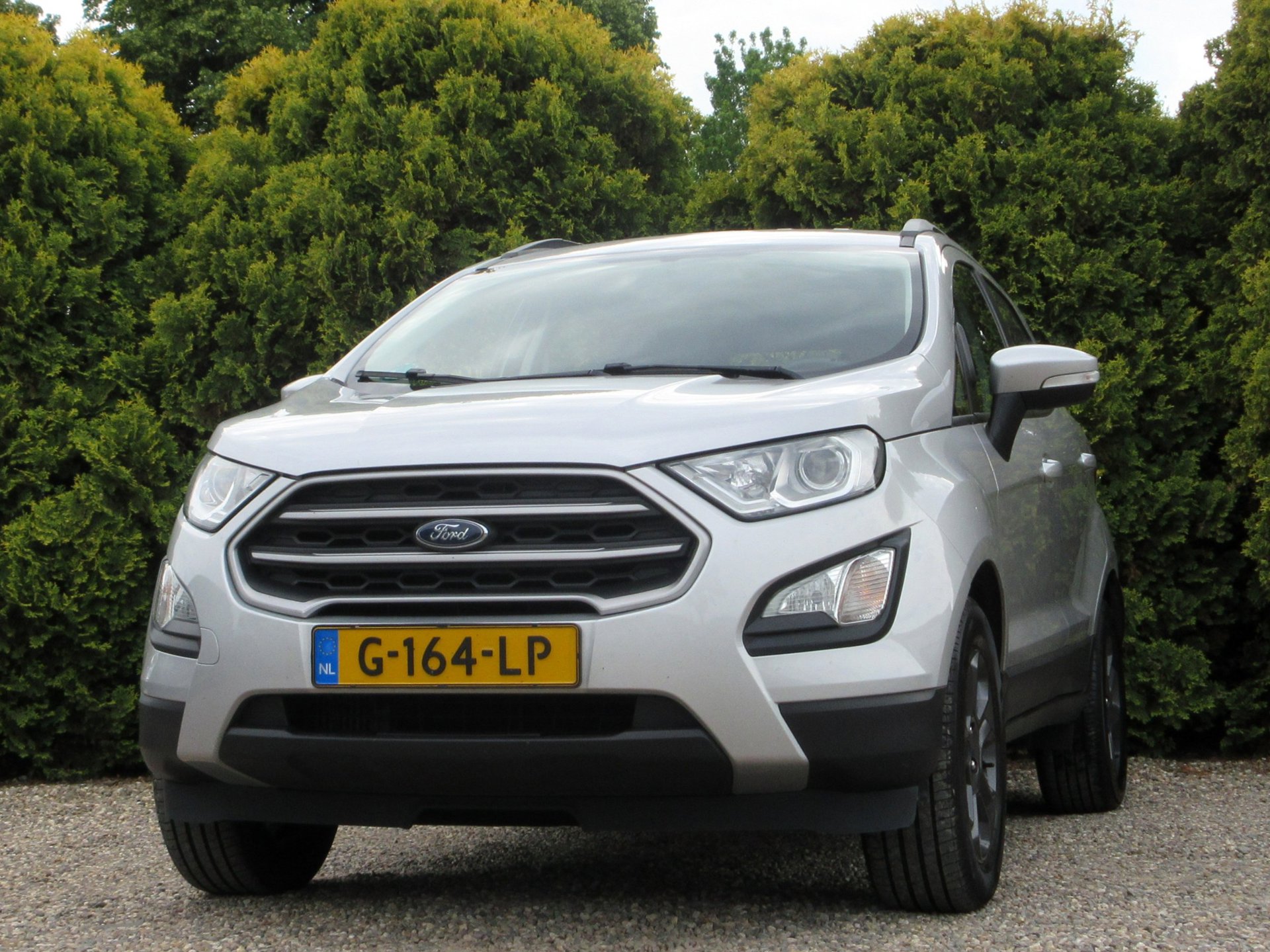 Foto van Ford Ecosport