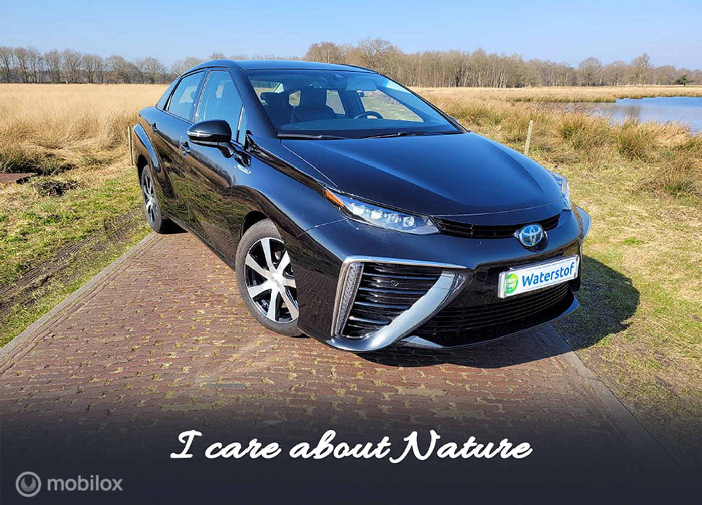 Foto van Toyota Mirai