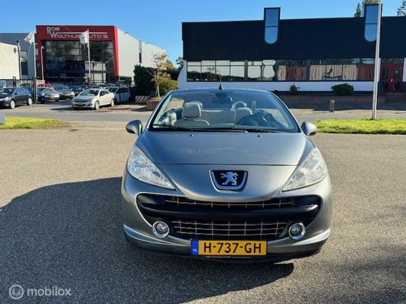 Foto van Peugeot 207 CC
