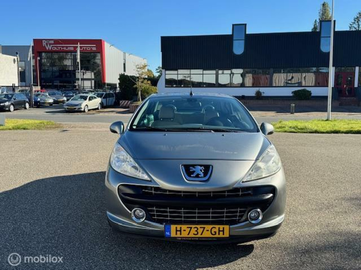 Foto van Peugeot 207 CC