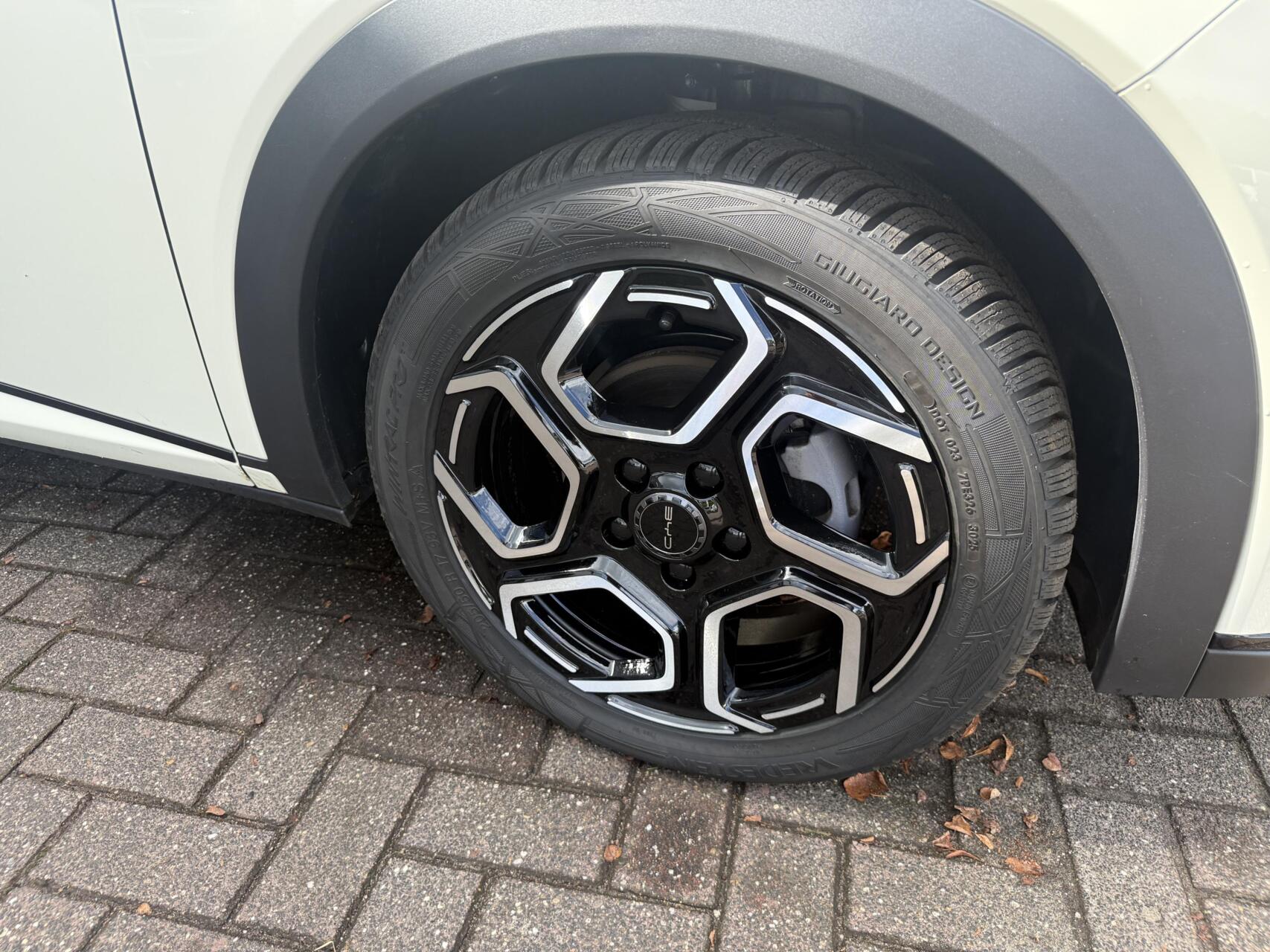 Foto van BYD BYD Dolphin
