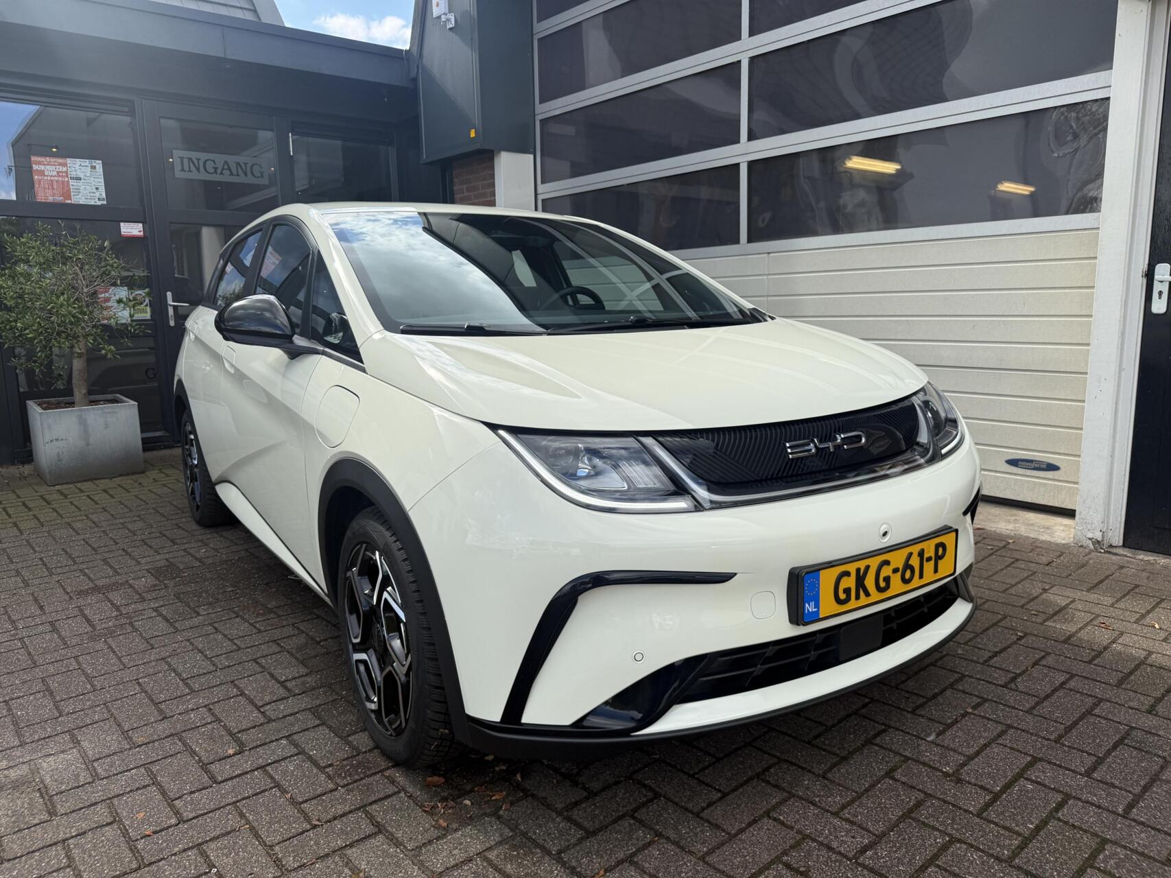 Foto van BYD BYD Dolphin