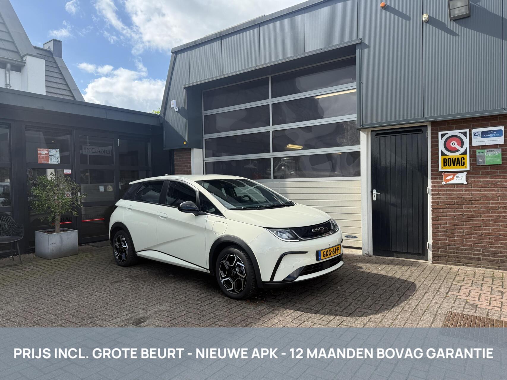 BYD BYD Dolphin Comfort 60.4 kWh SOH 95% *ALL-IN PRIJS* 2024 - voorkant
